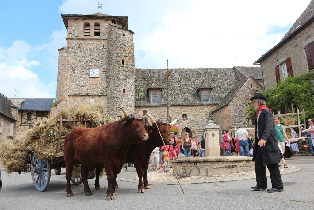 Chambres D'Hotes Du Presbytere La Bastide-l'Eveque Kültér fotó