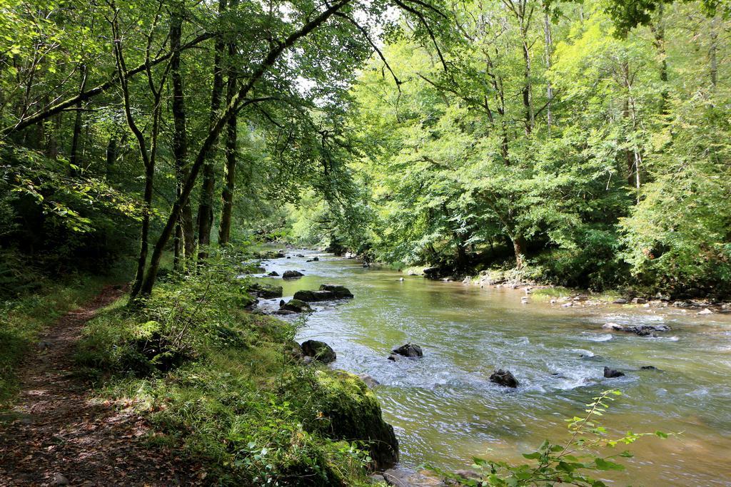 Chambres D'Hotes Du Presbytere La Bastide-l'Eveque Kültér fotó