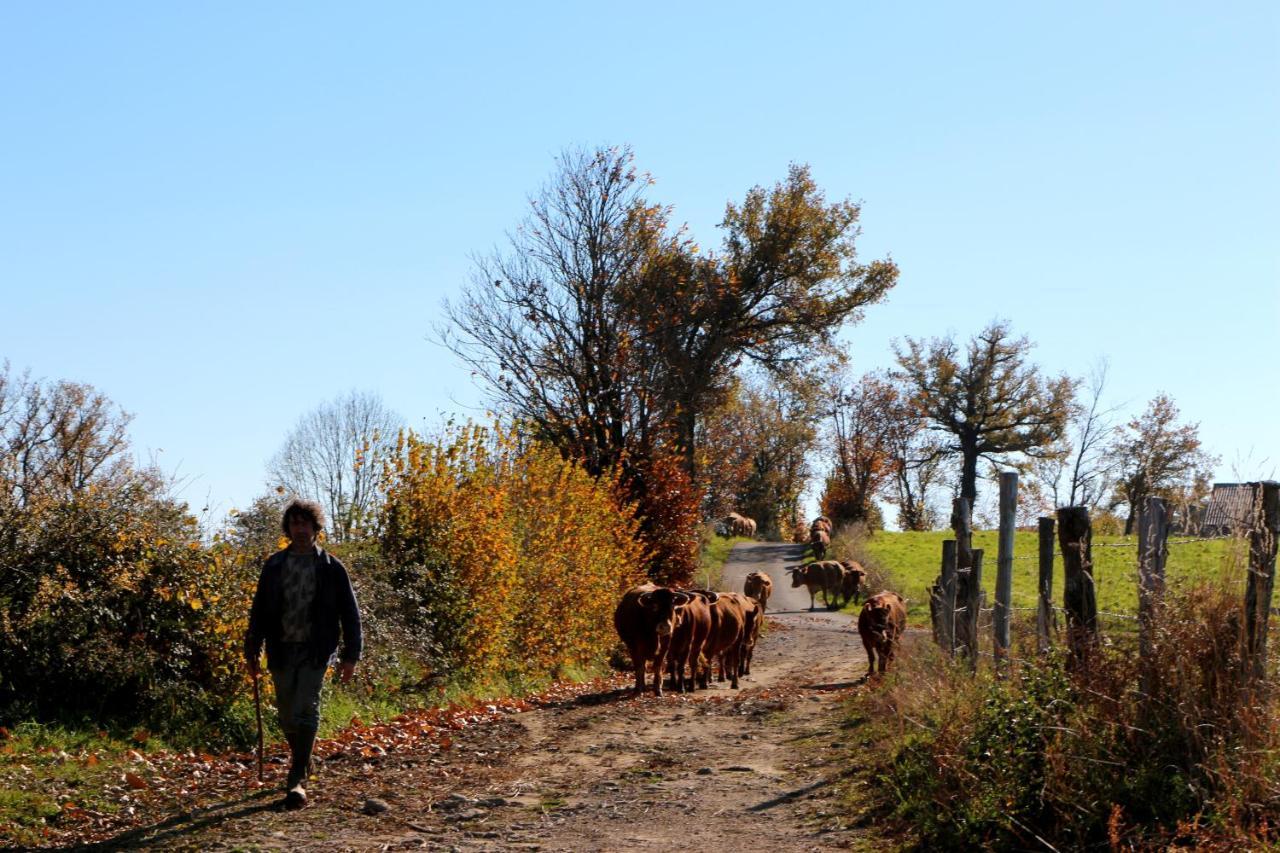 Chambres D'Hotes Du Presbytere La Bastide-l'Eveque Kültér fotó