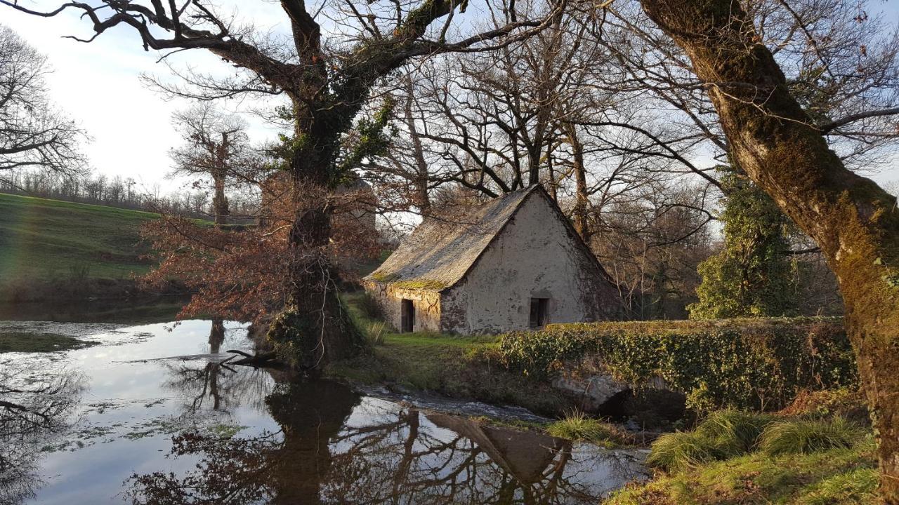 Chambres D'Hotes Du Presbytere La Bastide-l'Eveque Kültér fotó